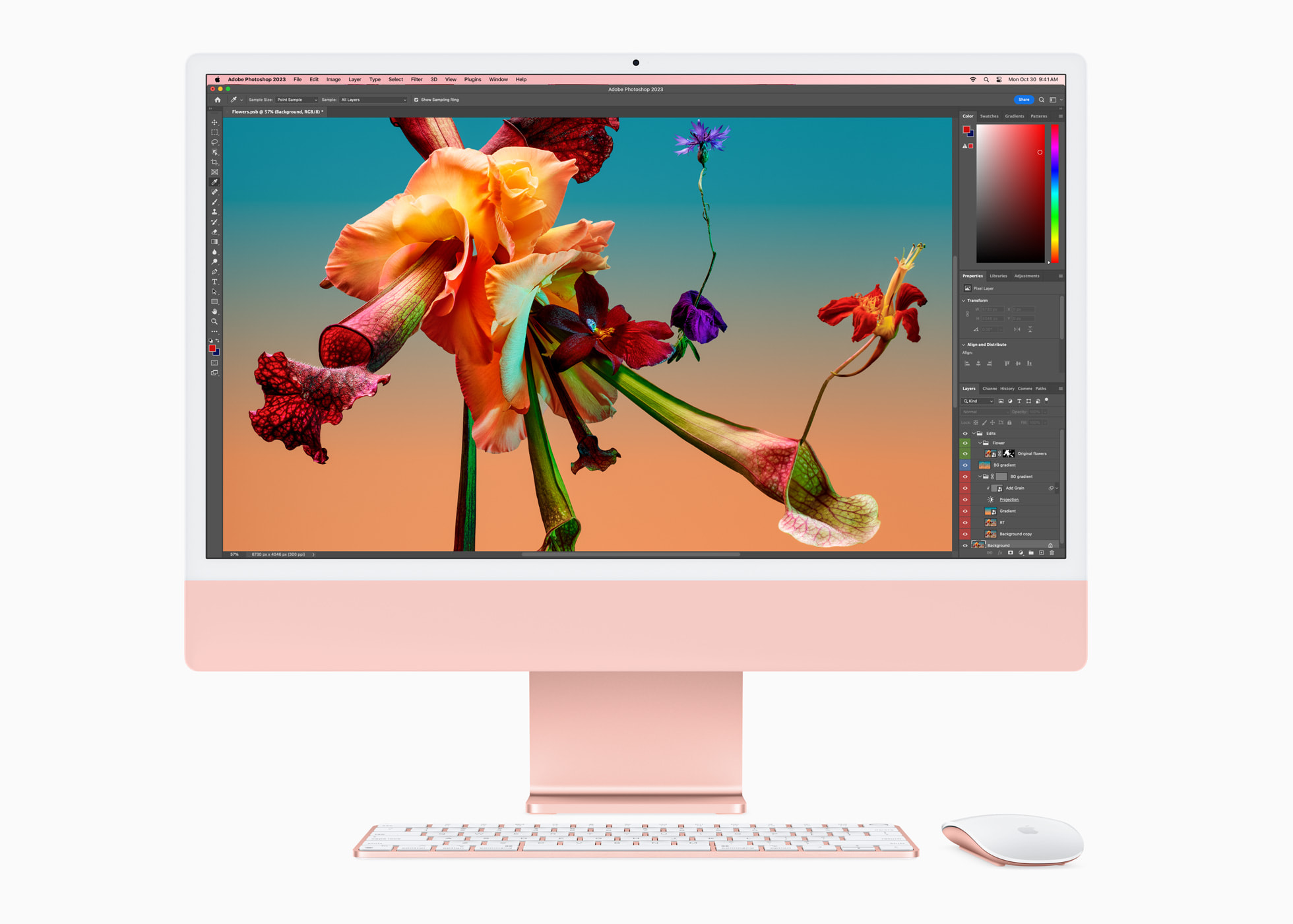Apple iMac (Retina 4.5K, 24" 2024, 2 TBT4, M4)